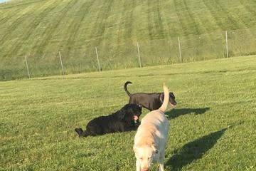 Montgomery County Bark Park